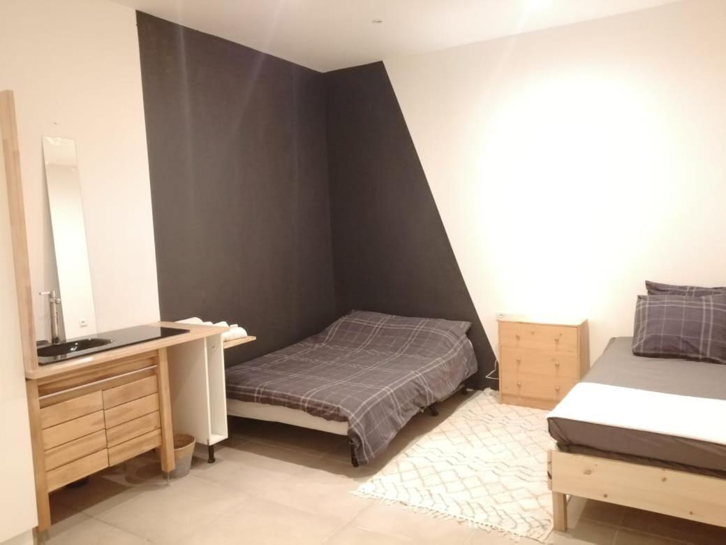 Loft Viarhona, Grand Loft En Centre-Ville Lyon Exteriér fotografie